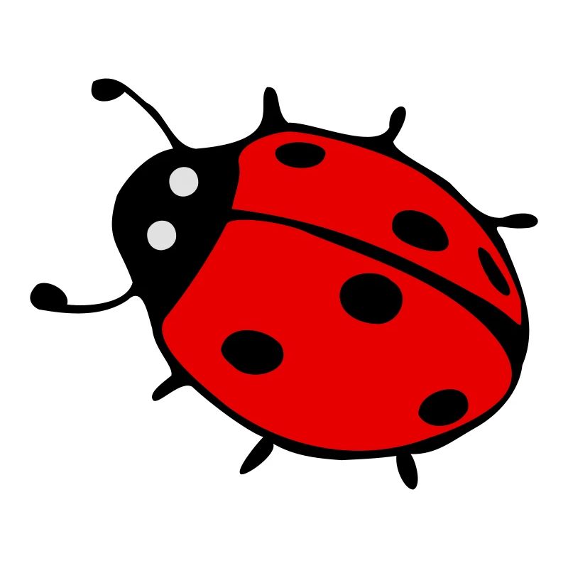 Ladybug