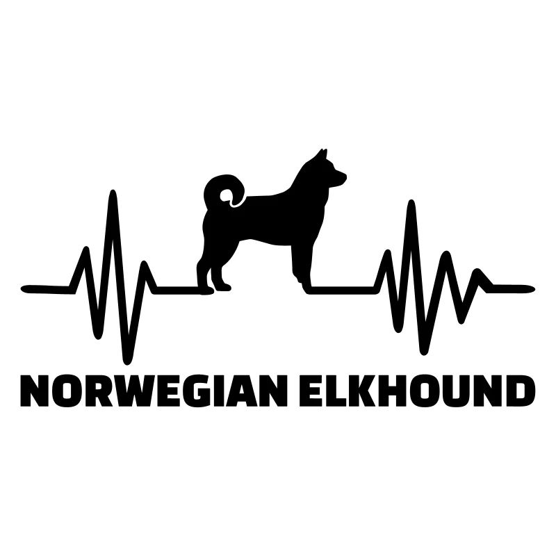 Norwegian Elkhound
