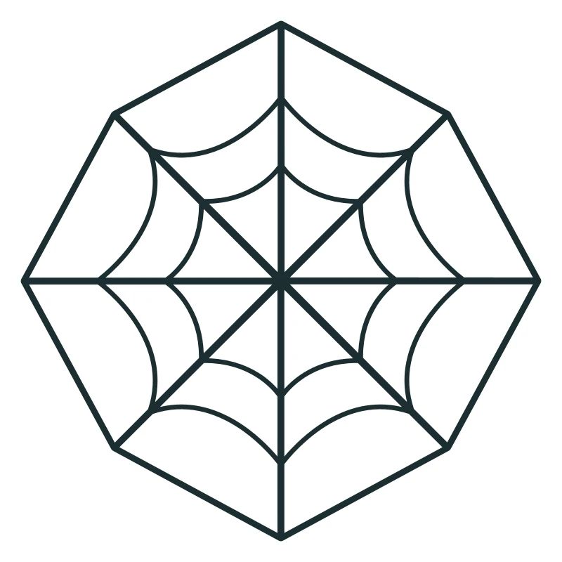 irregular spider web