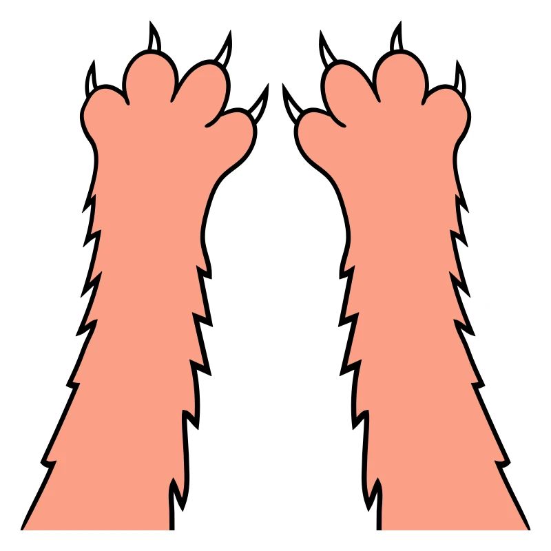 Cats, claws, paws, paws, sharp claws, scratching