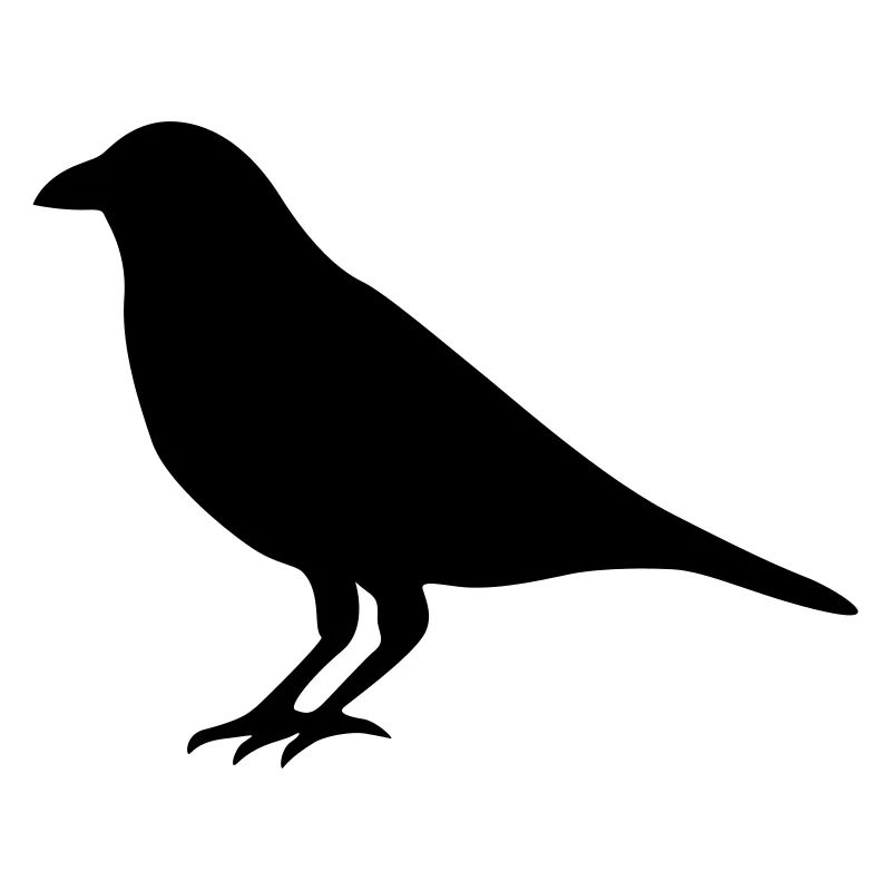 Raven