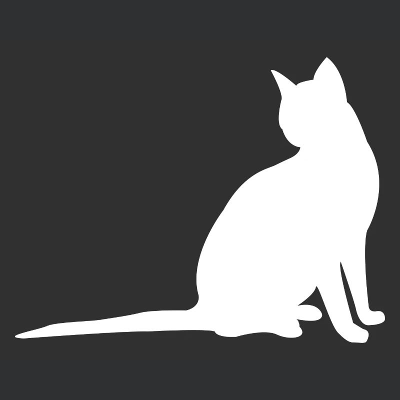 Katze
