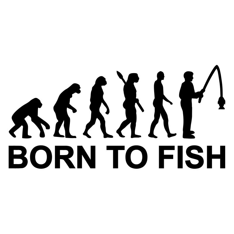 Evolution Angeln