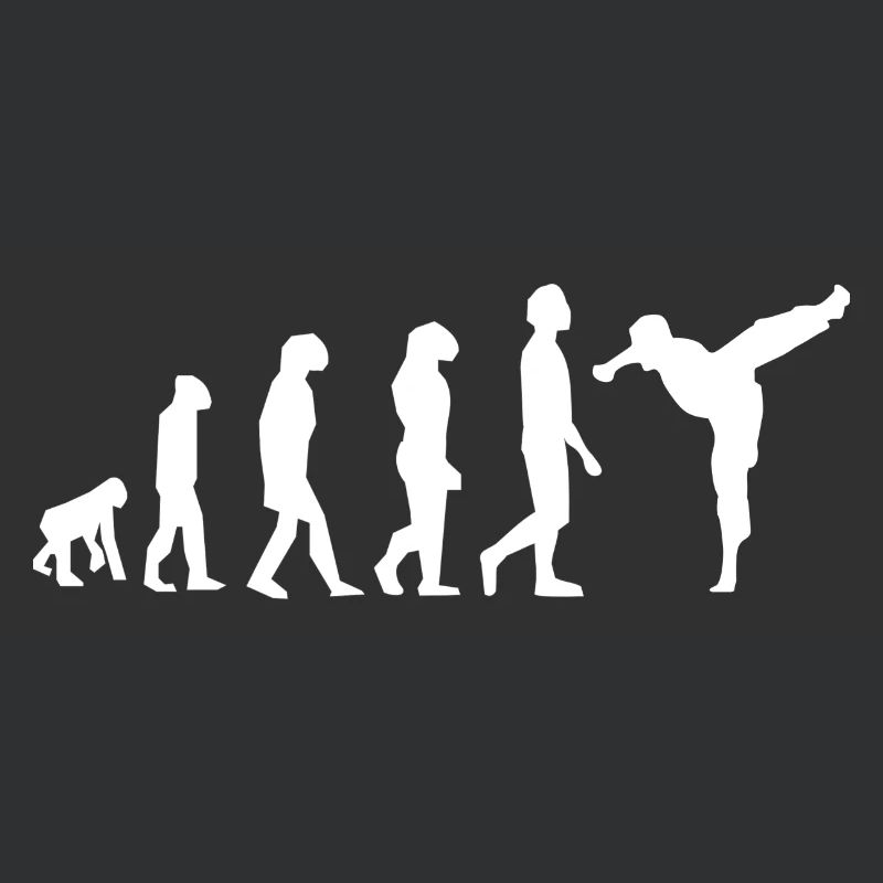 Art martiaux évolution
