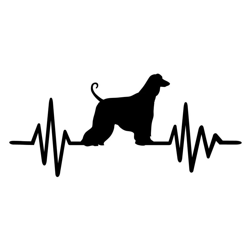 Afghanischer Windhund
