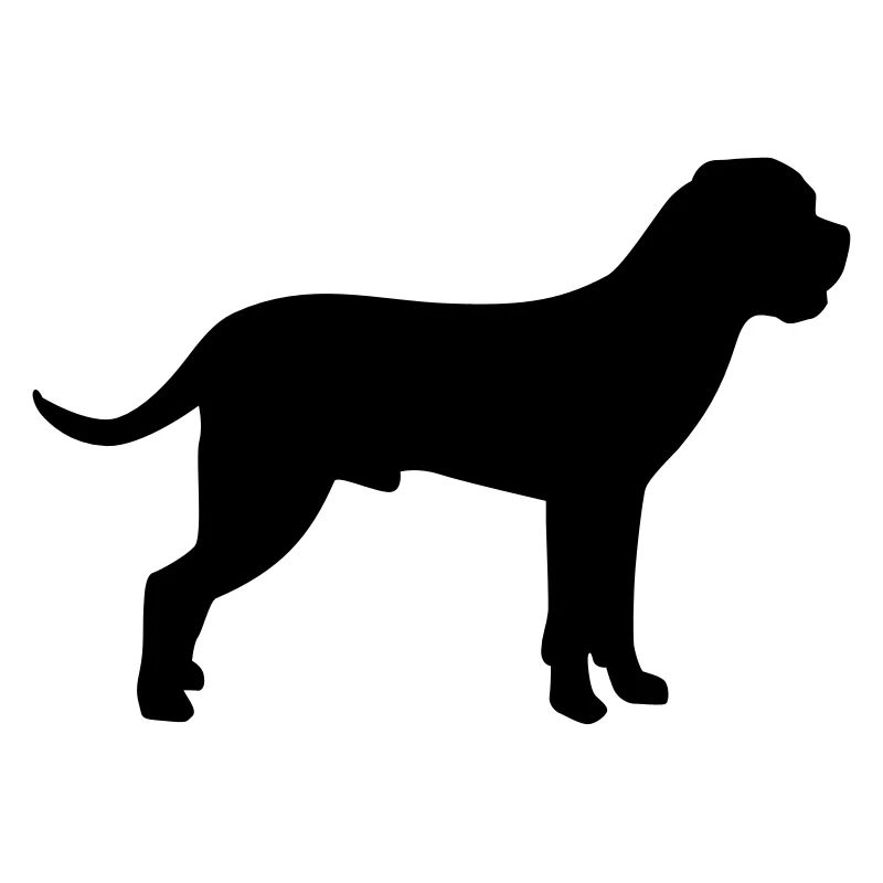 Cane Corso
