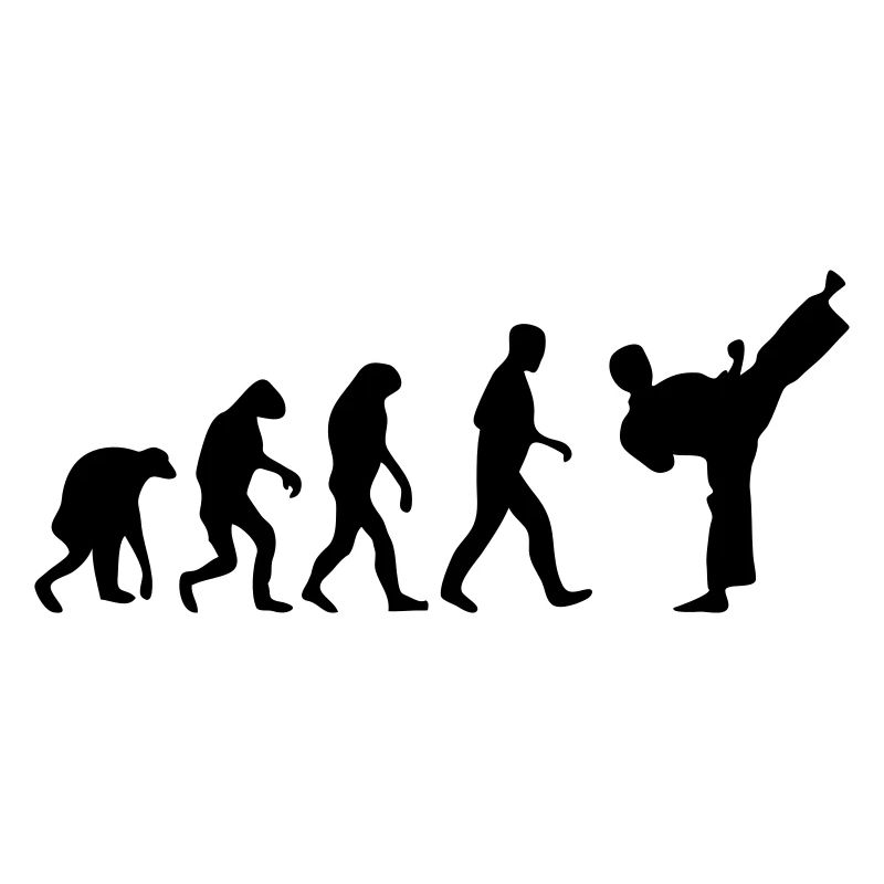 fight evolution karate teakwondo fighter kick
