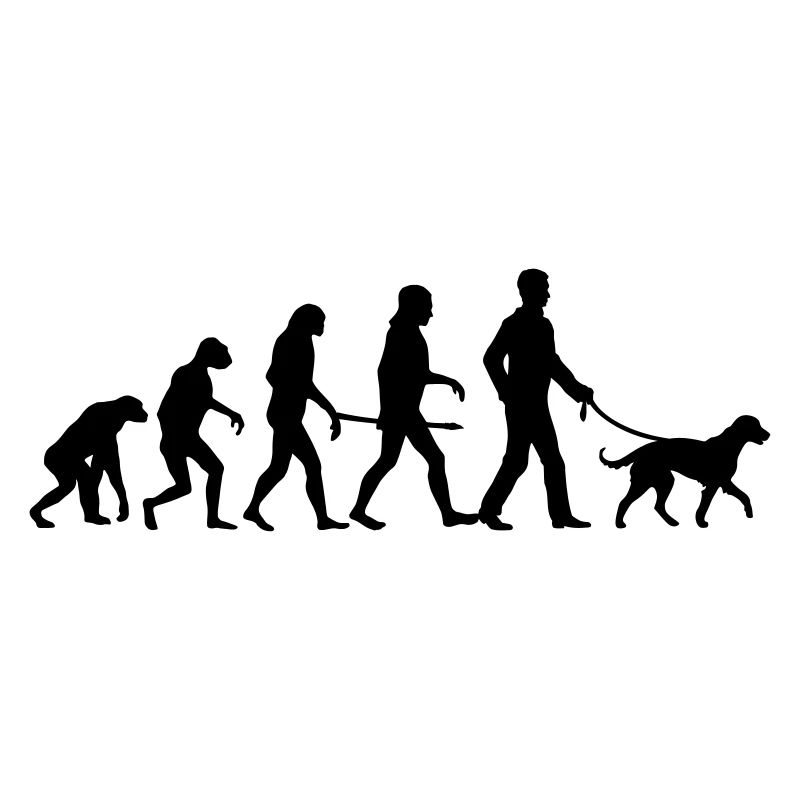 Evolution - XL Dog