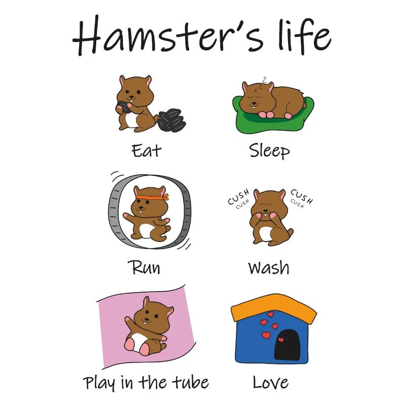 das Leben des Hamsters
