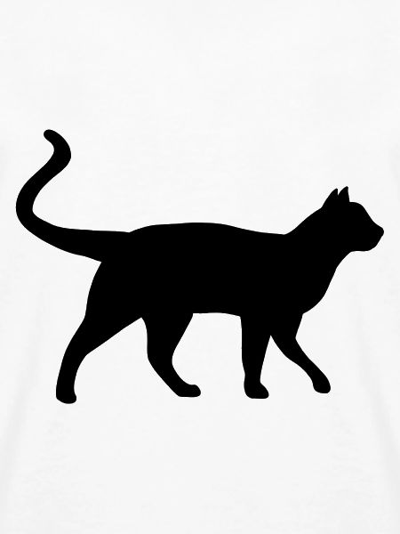 Katze