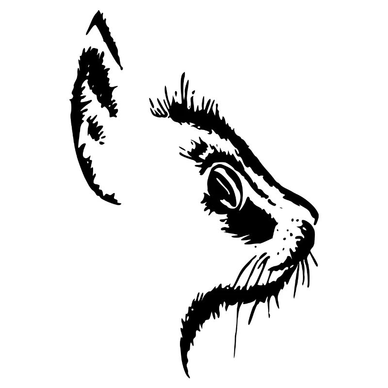 Cat's head 2- cat's face