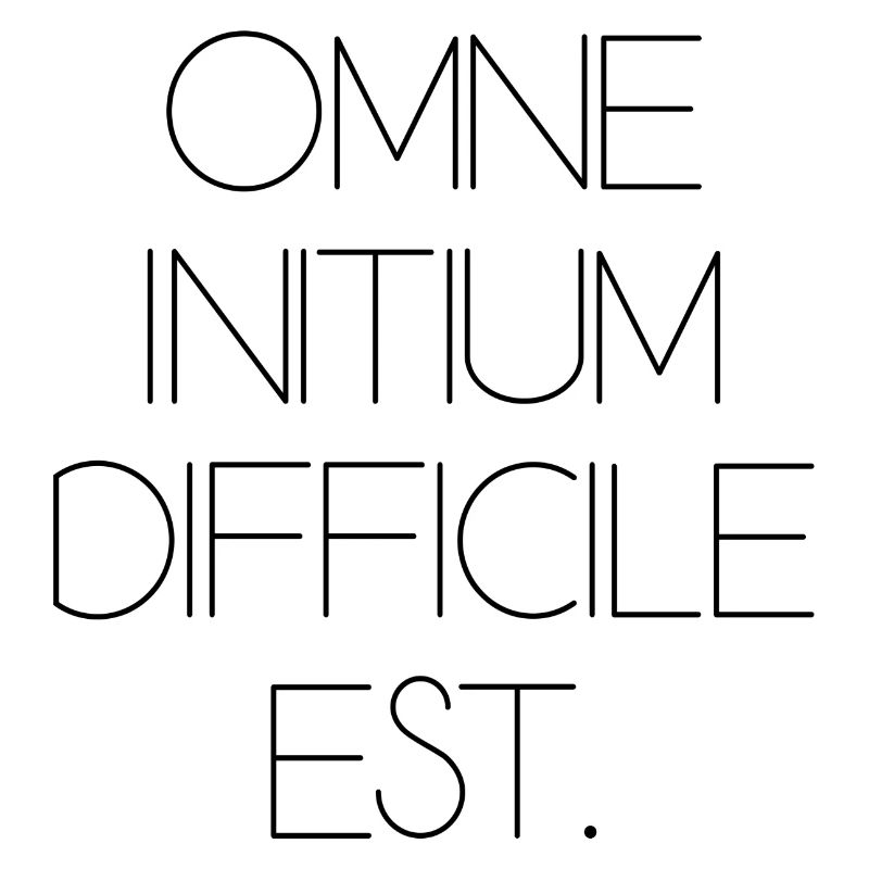 all beginning is difficult Latin quotation scripture