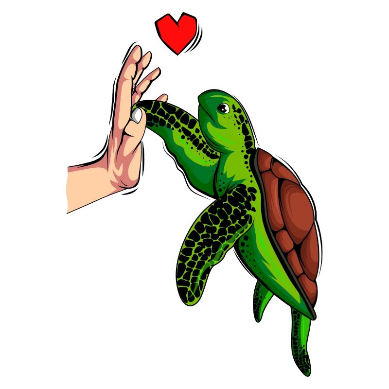 Tortues