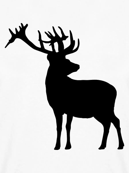 Hirsch