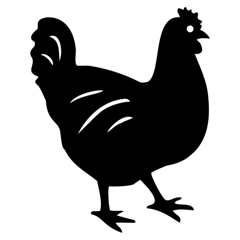 huhn vogel geschenk