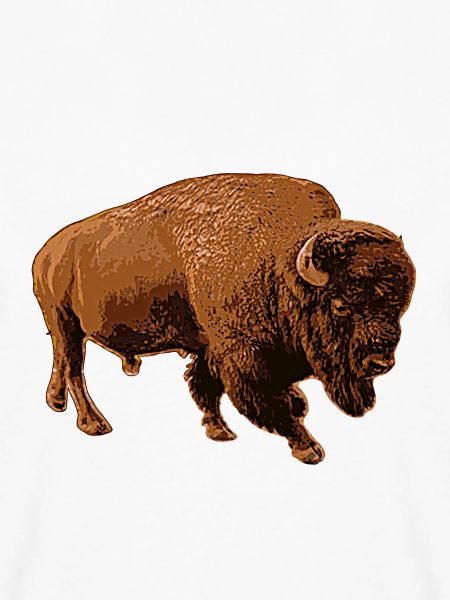Bison