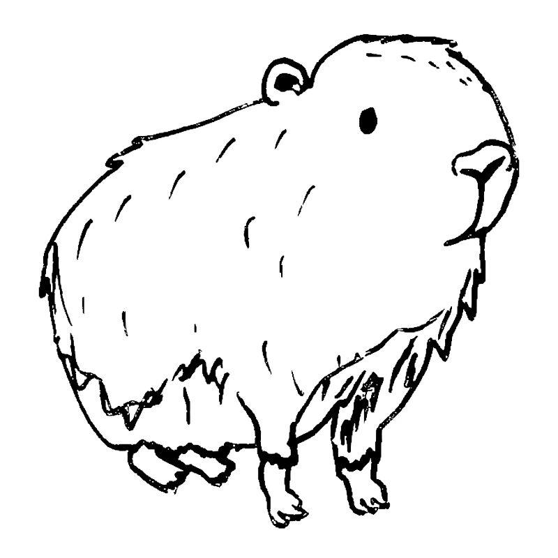 Abstrait Kapybara Noir