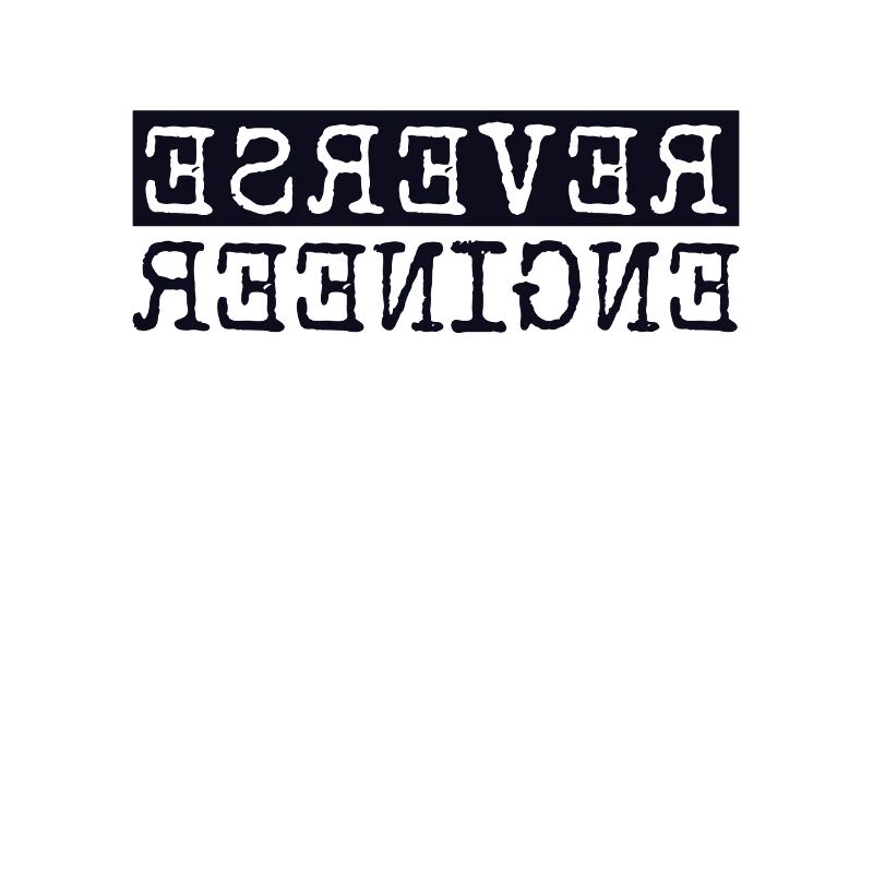 Reverse Engineer Softwareingenieur Developer