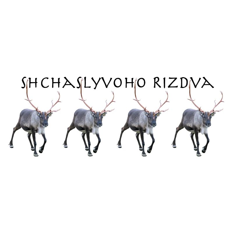 Shchaslyvoho Rizdva