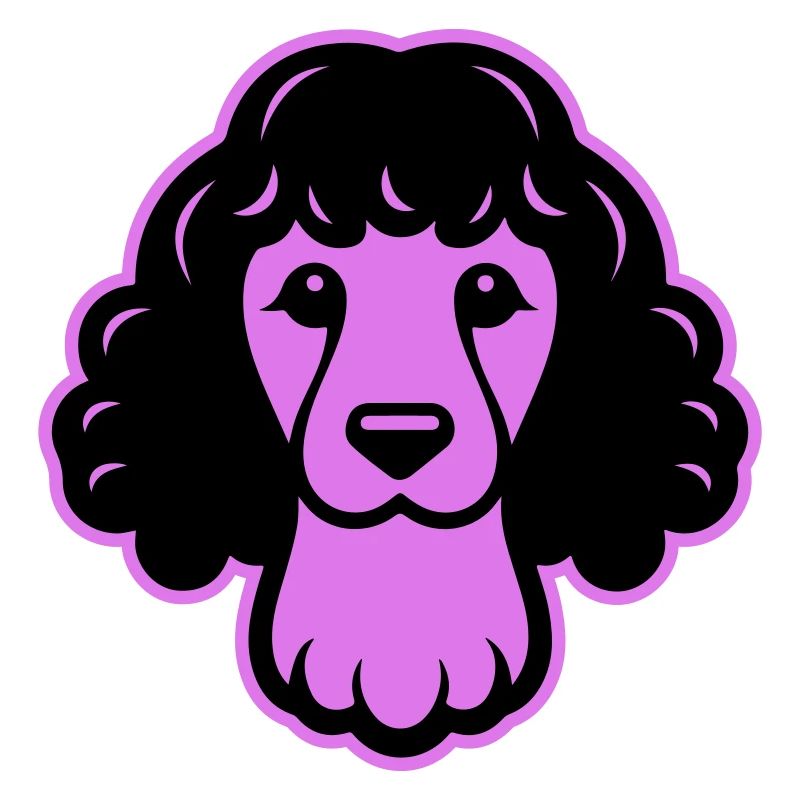 Pudel Hund Kopf