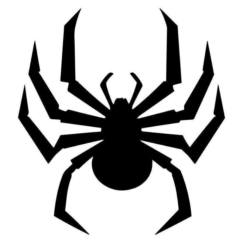 Spinne