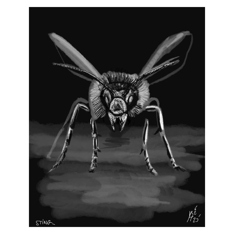 Midnight Stinger Mono Bee