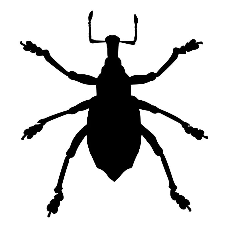 Käfer