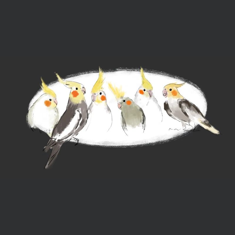 Nymphensittiche
