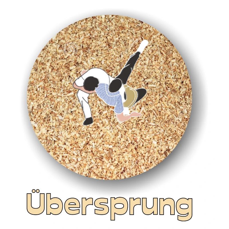 Conception suisse Schwinger