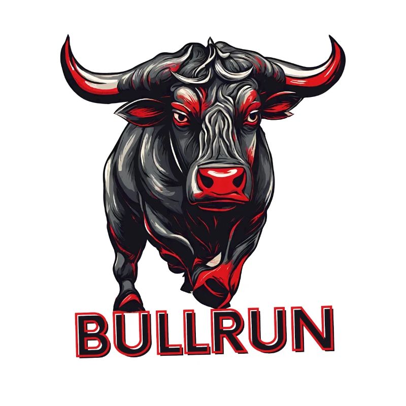 Börse Bulle Bullrun 2024/25 Krypto Handeln