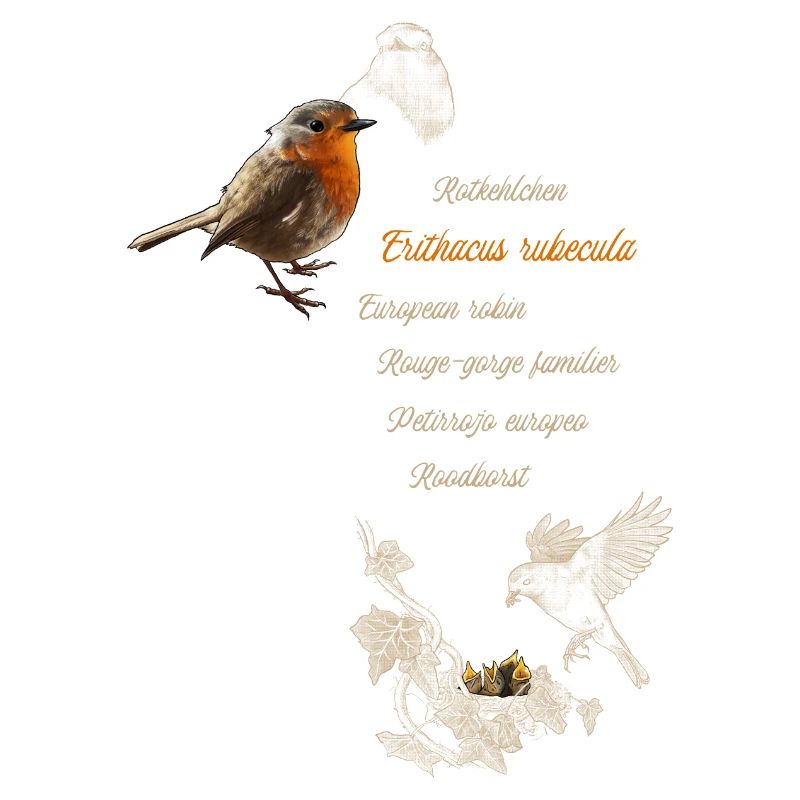 Rotkehlchen - Erithacus rubecula