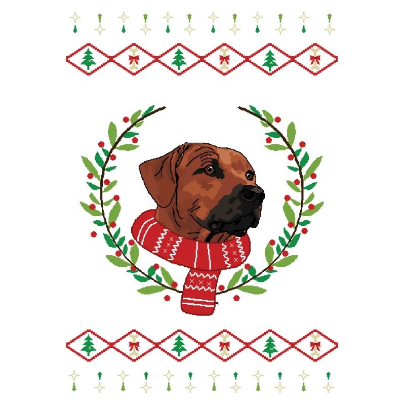 Pull de Noël laid Rhodesian Ridgeback