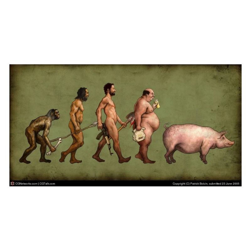 Evolution