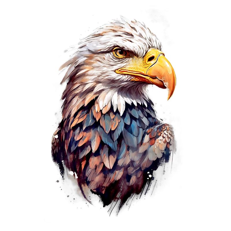 Adler Eagle V24 02