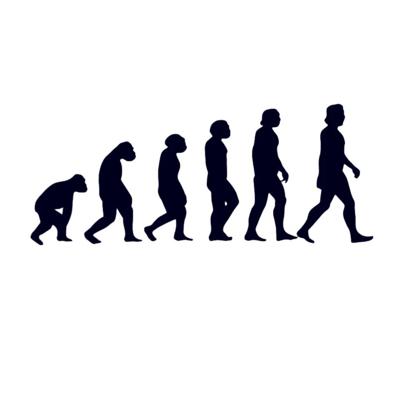 Evolution from monkey to man