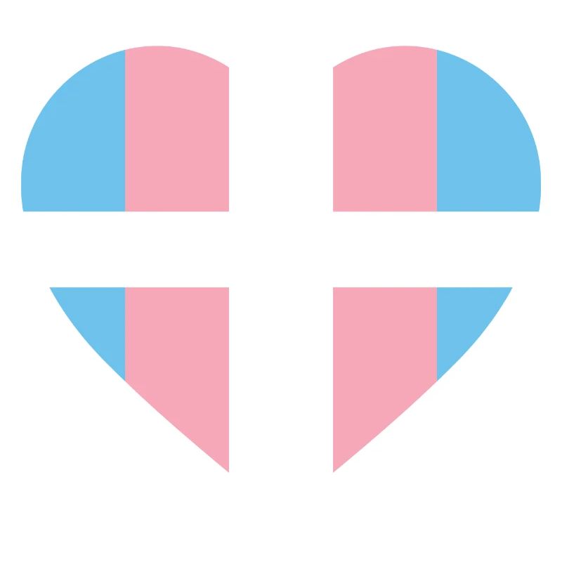 LGBTQ Nonbinary Coloré Rainbow Flag LGBTQ + Pride