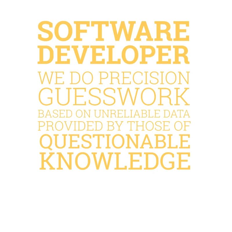 "Software Developer" | Programmierer