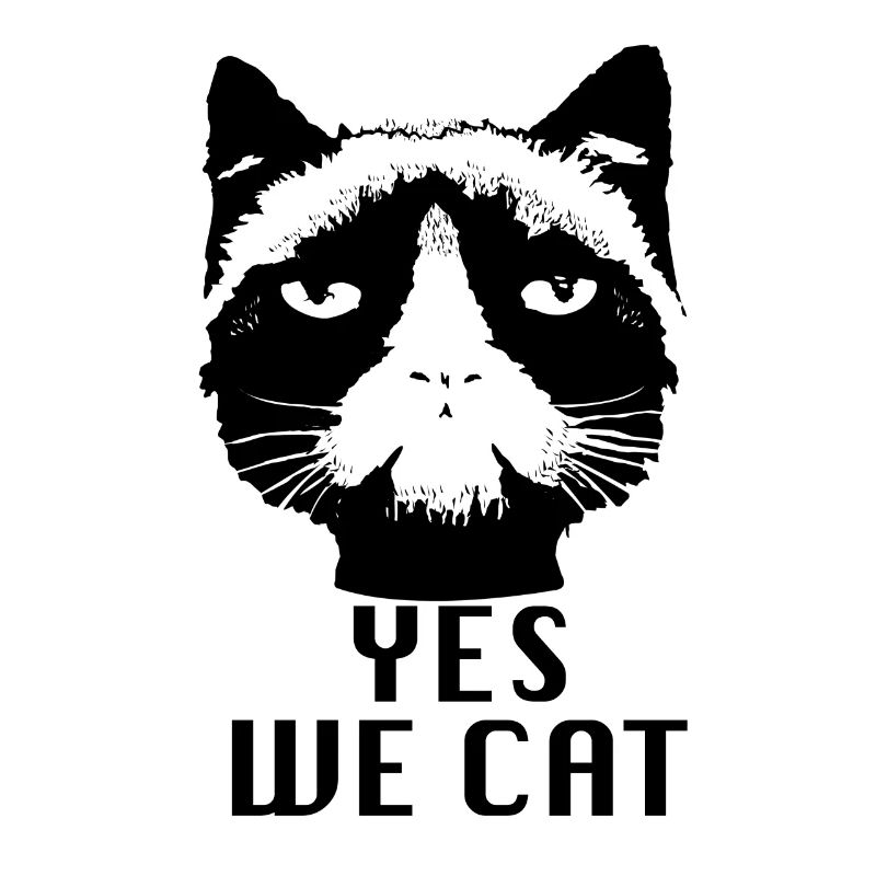 Yes we Cat Obama Grumpy cat