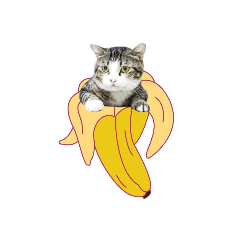 Chat, chat, banane, chaton, miaou, chat, chat, chat, dame