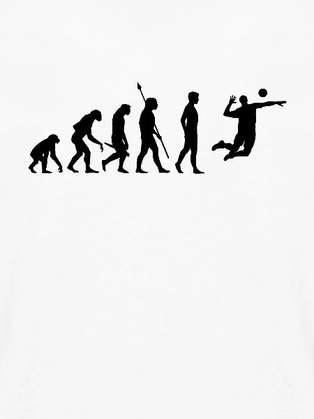 Evolution Volleyball
