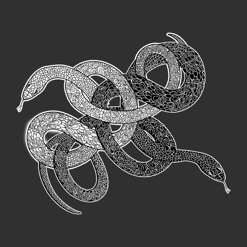 Serpents anaconda cadeau python