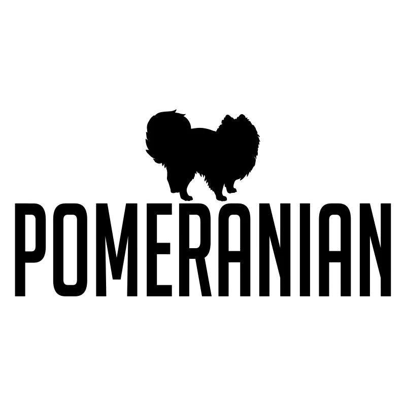 POMERANIAN Hunderasse