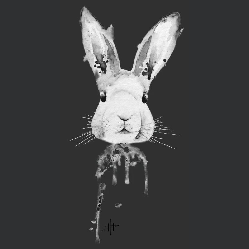 Rabbit Black White