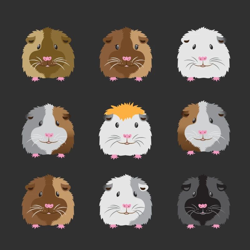 Neuf visages de cobayes