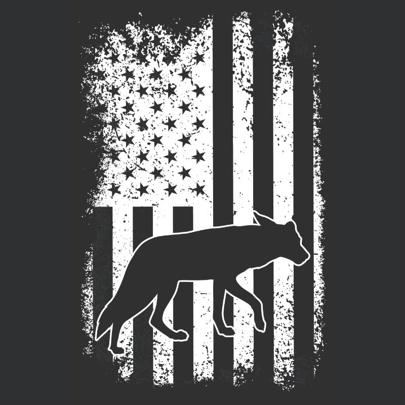 Conception de coyote pour les réacteurs de coyote