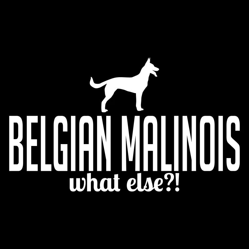 Malinois whatelse