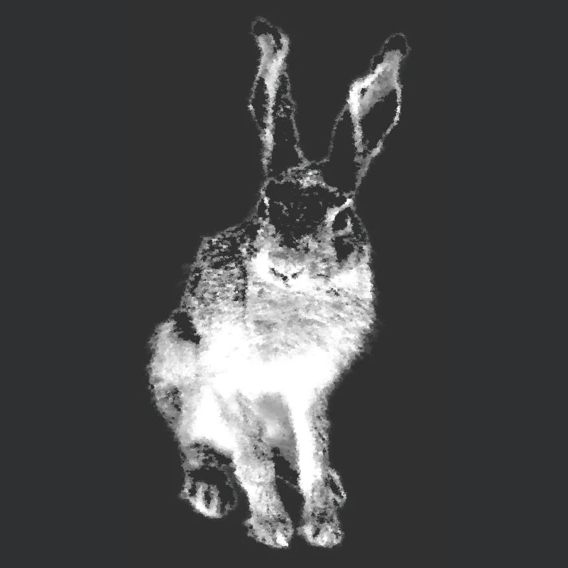 Hare