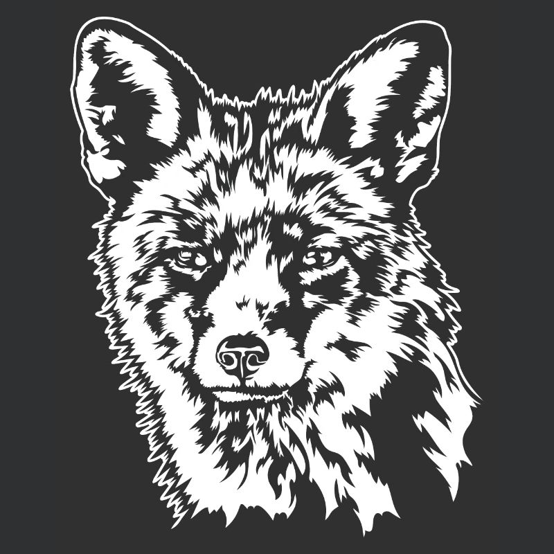 Fuchs Rotfuchs Wildtier Waldtier Wilsigns