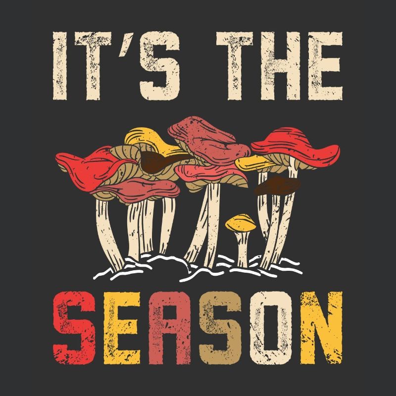 C’est la saison de la chasse aux champignons