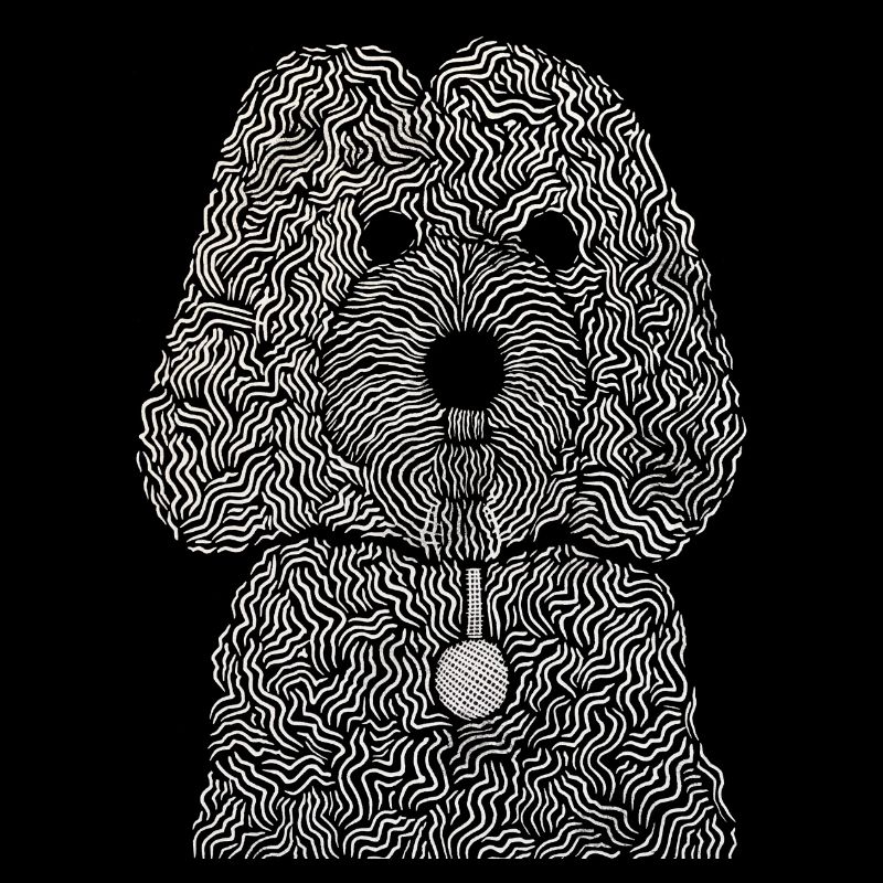 Cockapoo